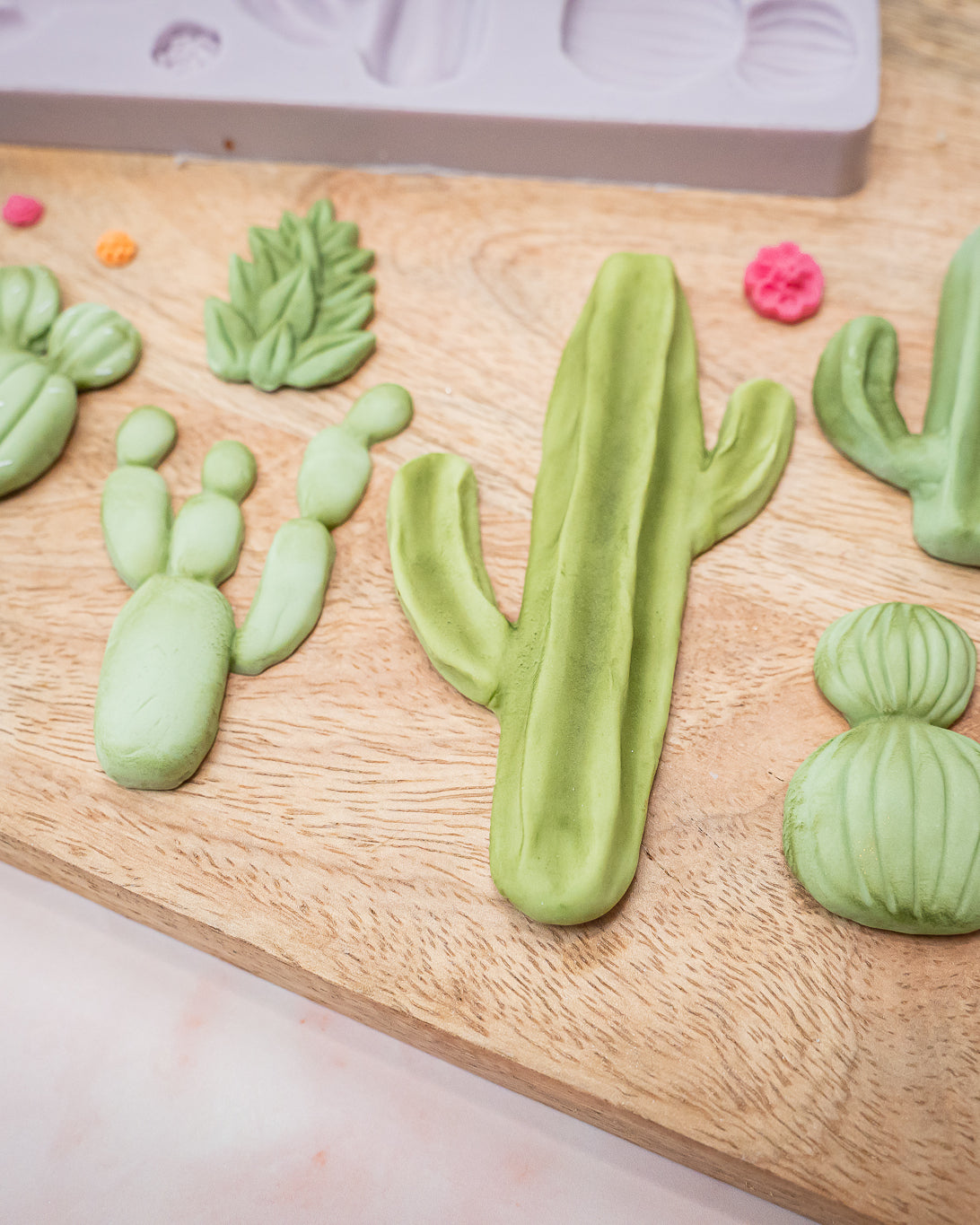 Cactus Garden Silicone Mould
