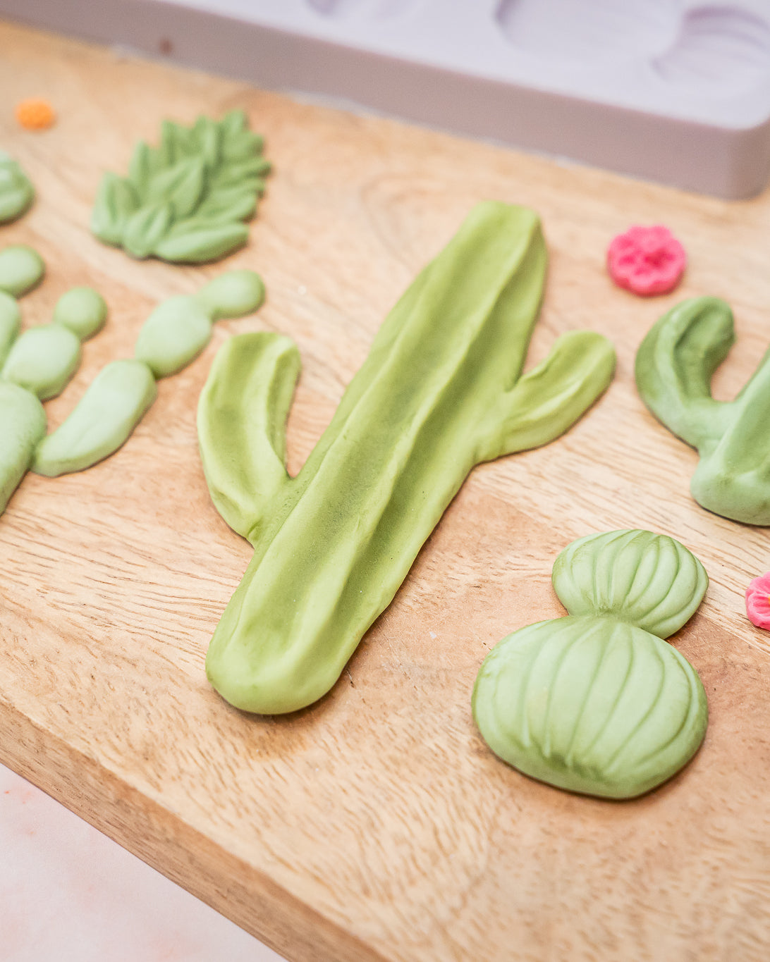 Cactus Garden Silicone Mould