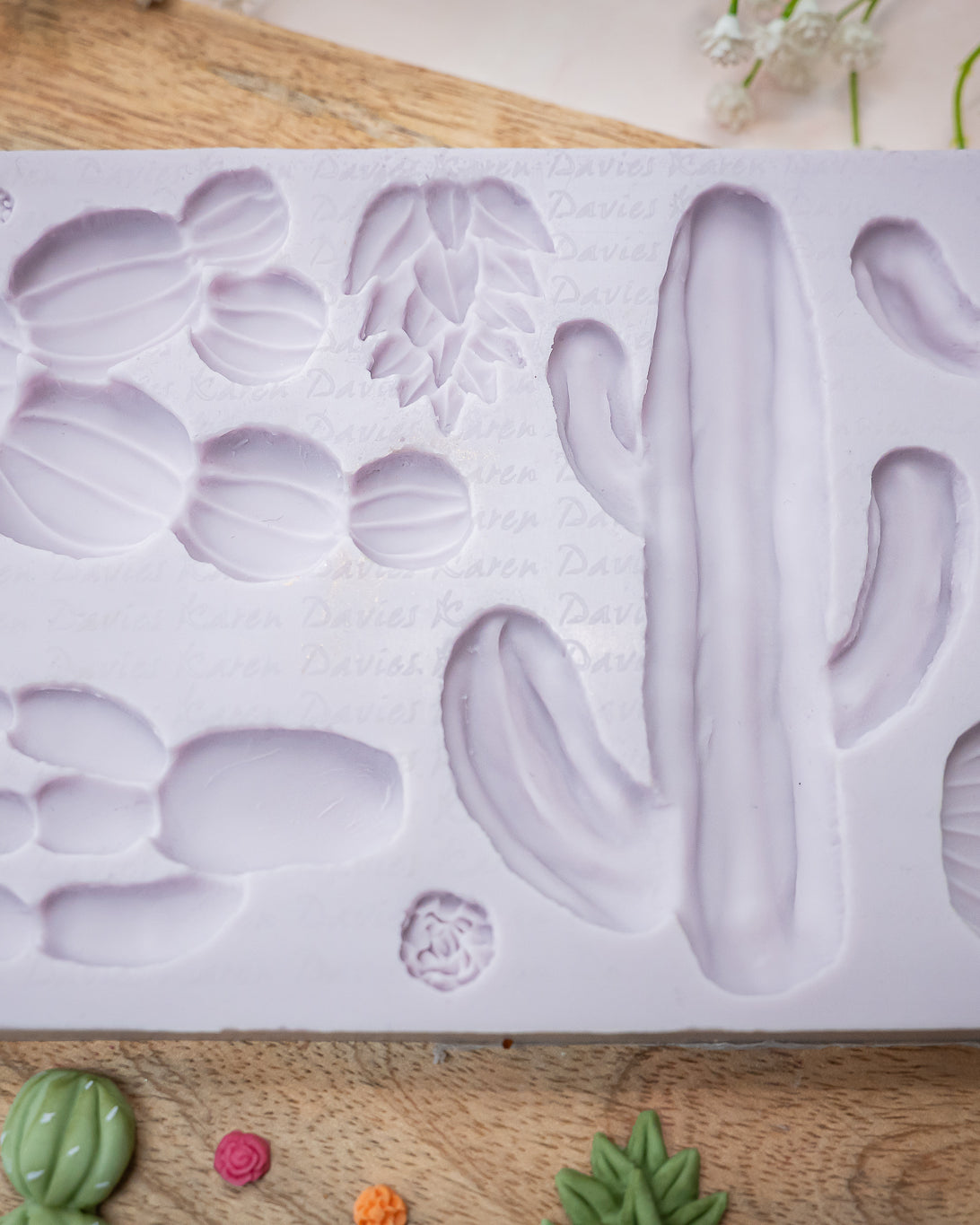 Cactus Garden Silicone Mould