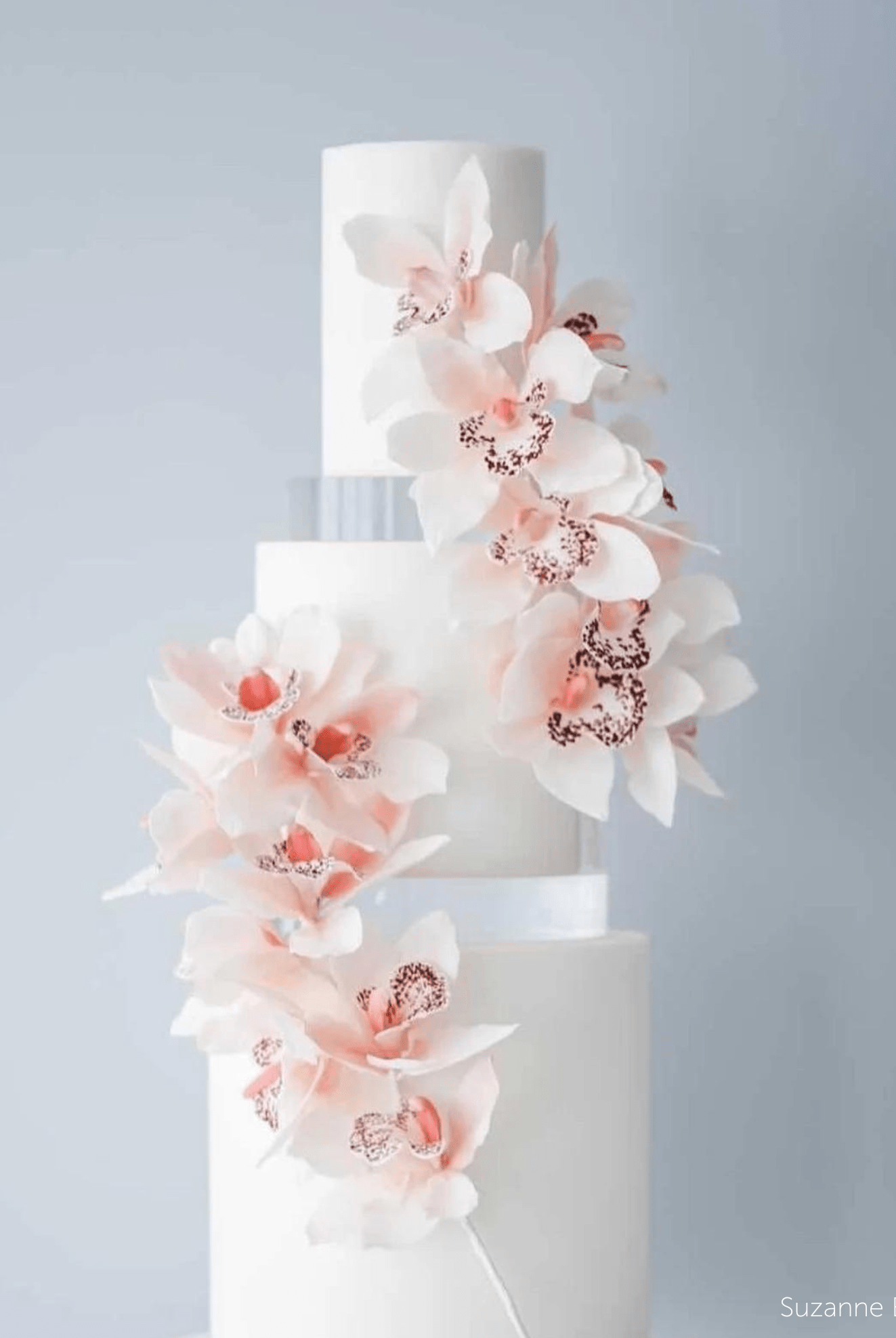 PropBundles - 30mm Round Ultra Polished Acrylic Cake Spacers - Prop Options