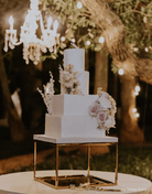 14" Square Metallic Plinth - Prop Options