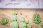 Cactus Garden Silicone Mould