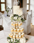Ultra Adjustable 6 Tier Acrylic Cupcake Display Stand - Prop Options